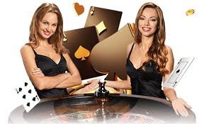 zk666 players enjoying live casino and slot games on mobile